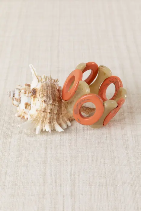 Pulsera Asta y Resina