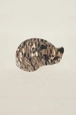 Broches gato